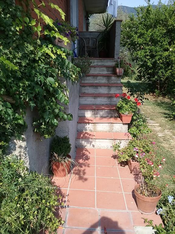 Bed and Breakfast Casa Virgilio Фоздіново Номер фото
